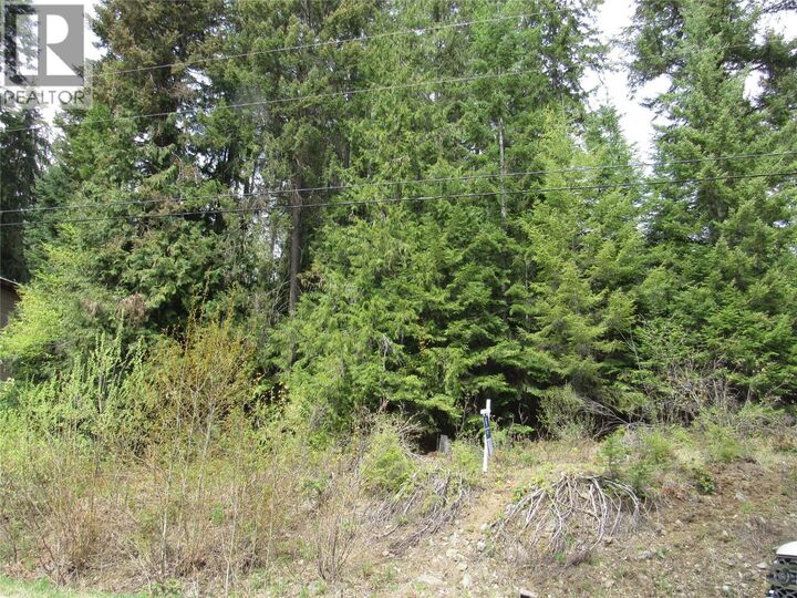 Property Photo:  Lot 19 Nelson Rural 08182.190 Other  BC V0G 2G3 