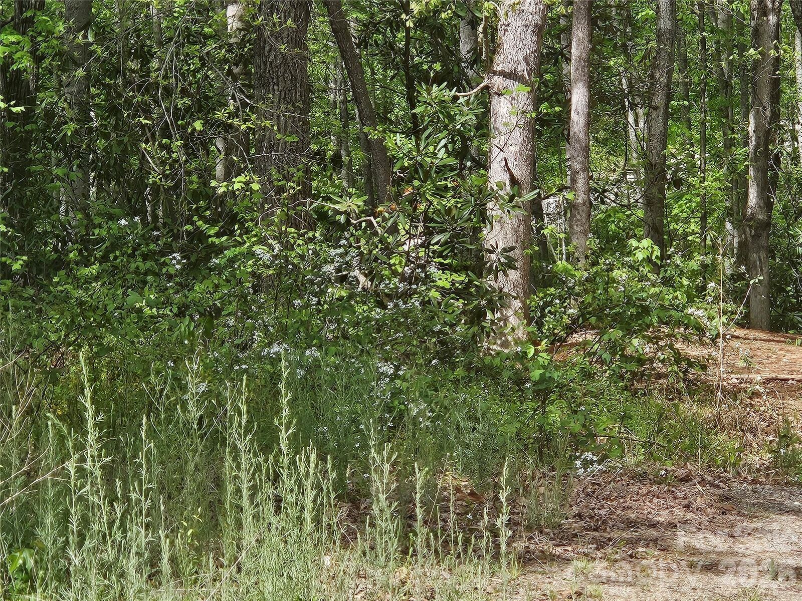 Property Photo: 22 Graulich Lane 6 NC 28715