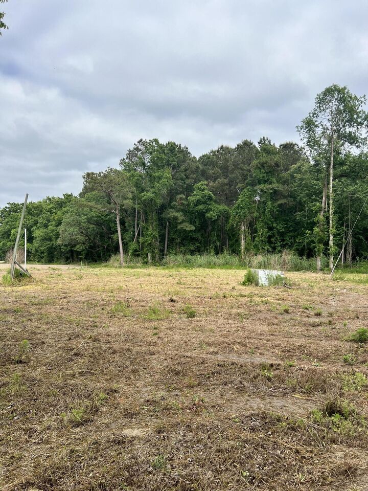 Property Photo:  193 Evergreen Lane  SC 29477 