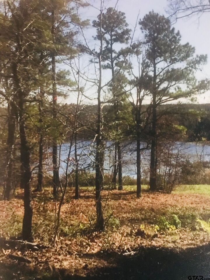Property Photo: Lot 17 Cr 3545 TX 75765