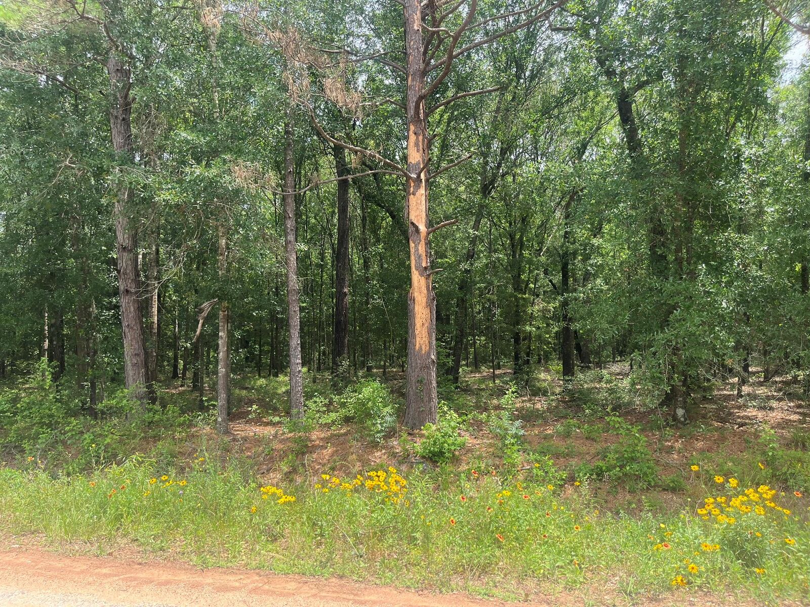Property Photo: 0 Oak Bend TX 77328