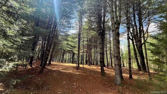 Property Photo: Lot 12 White Road NY 12737