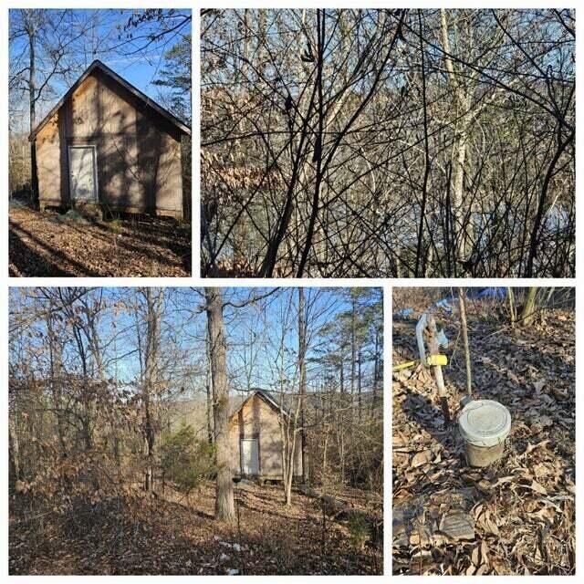 Property Photo:  125 Kittiwake Place NW  TN 37336 