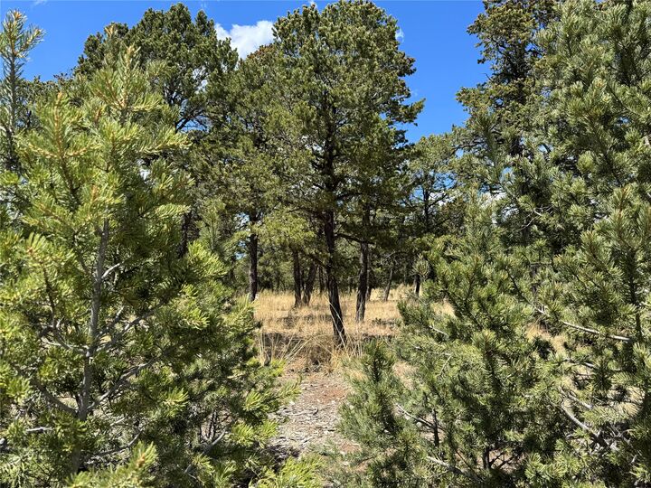 Property Photo: 17 Wild Wings Circle NM 87552