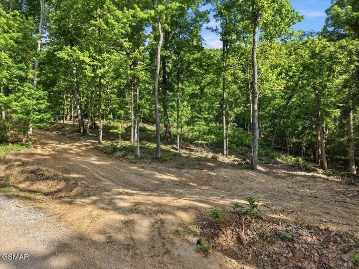 Property Photo:  721 Cecil Lockhart Road  TN 37820 