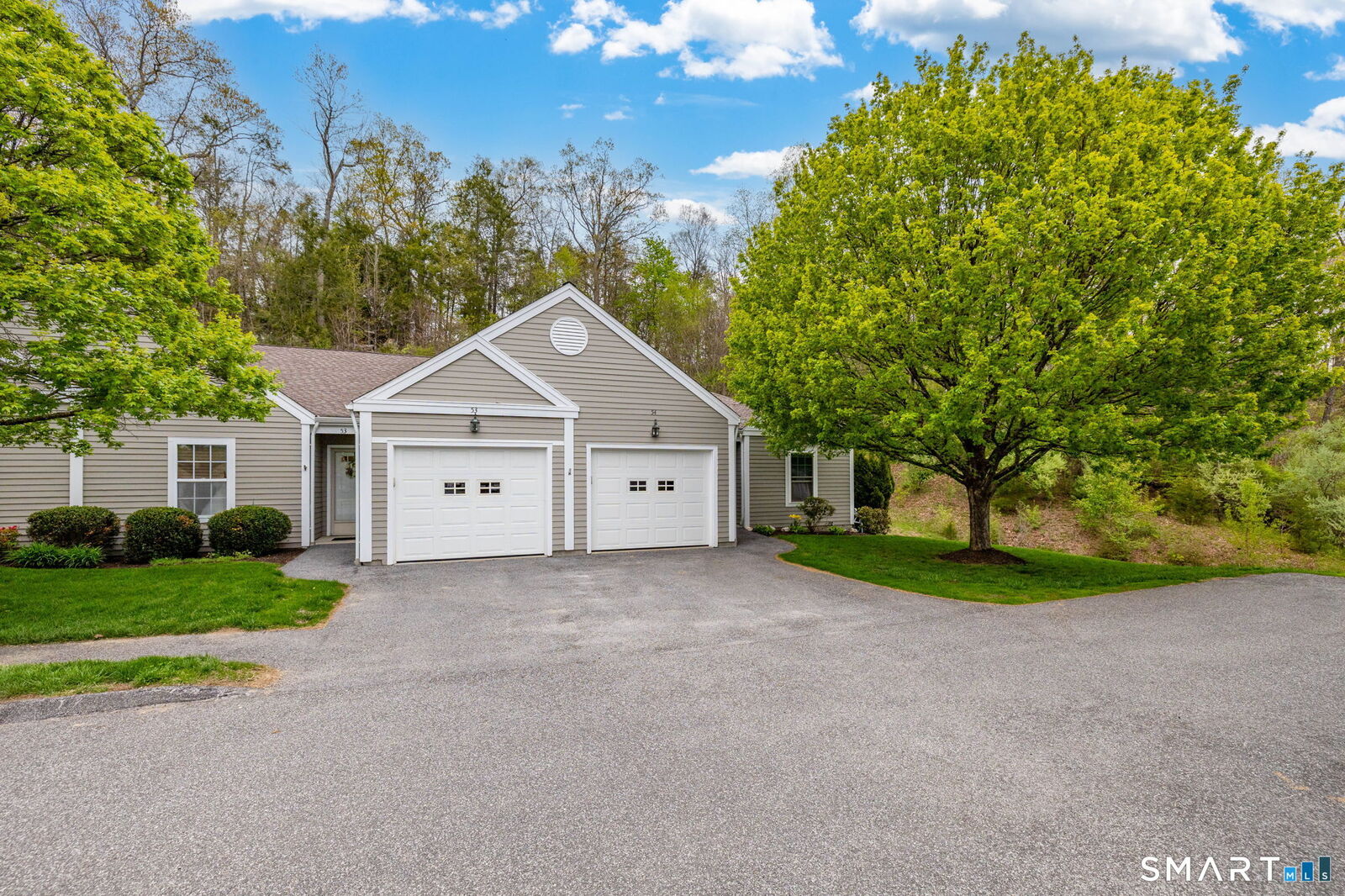 Property Photo:  54 Elizabeth Circle 54  CT 06482 