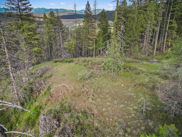 Property Photo:  Xxx Springdale Hunters Rd  WA 99173 