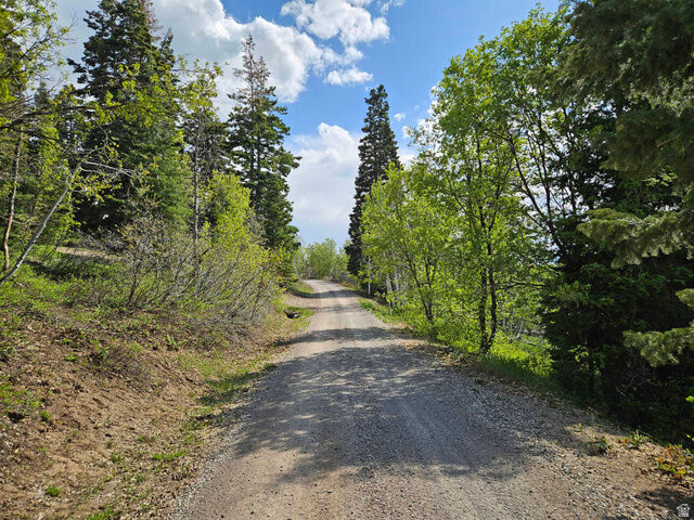 Property Photo:  1246 E North Fork Rd S 1246  UT 84629 