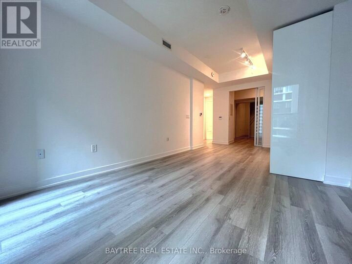 Property Photo:  121 St Patrick Street 413  ON M5T 3C1 