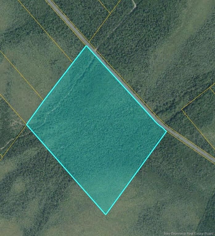 Property Photo:  53.1 Acres Route 117  NB E1N 4Y7 