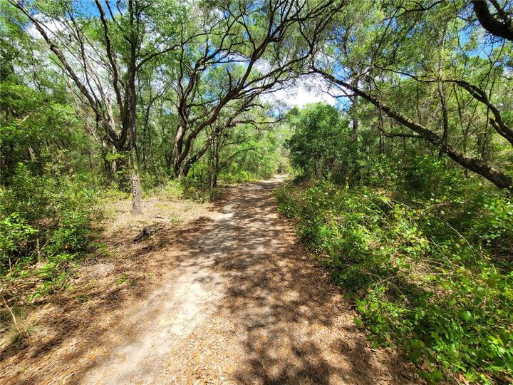 Property Photo:  912 Ferncreek Avenue  FL 34453 