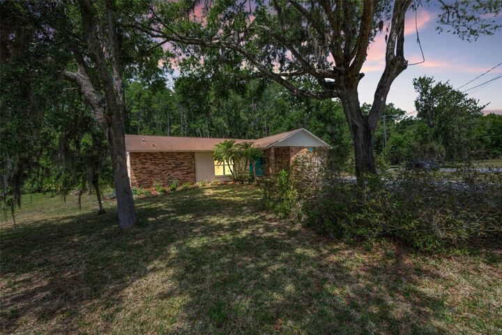 Property Photo: 21823 Shamu Drive FL 34639
