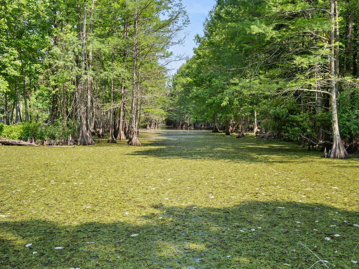 Property Photo:  427 Lyles Landing Rd.  LA 71446 