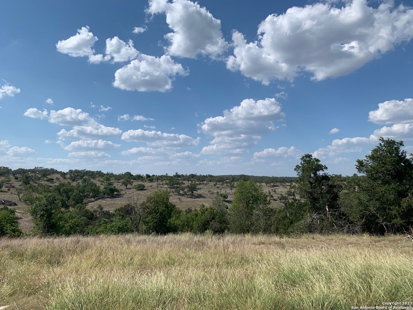 Property Photo:  02 Verde Ct.  TX 78624 