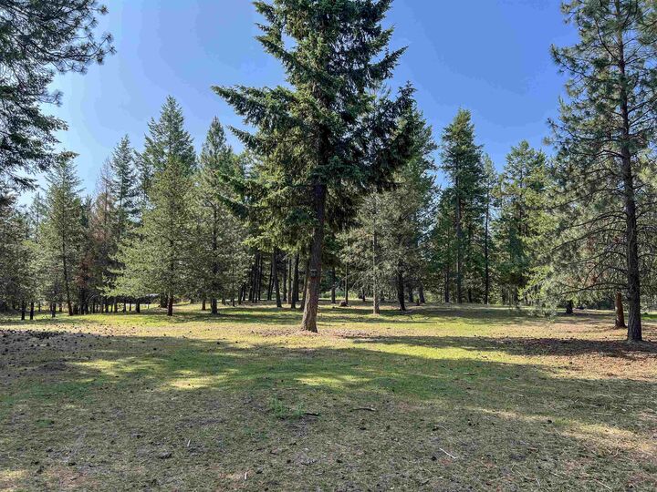 Property Photo:  563 Graham Rd  WA 99114 