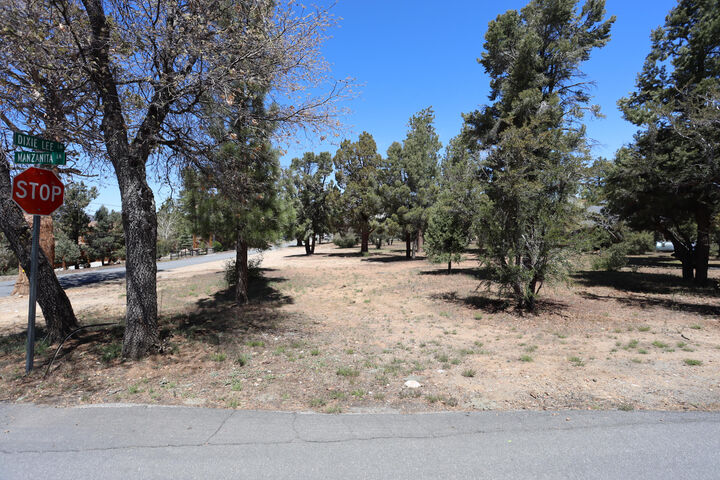 Property Photo:  0 Dixie Lee  CA 92386 