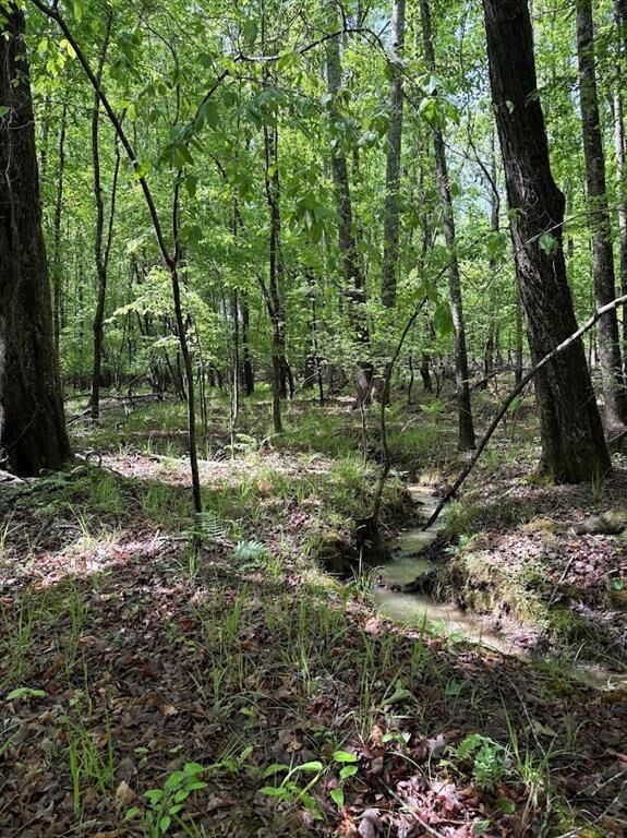 Property Photo:  0 Roy Dean Road  GA 30113 