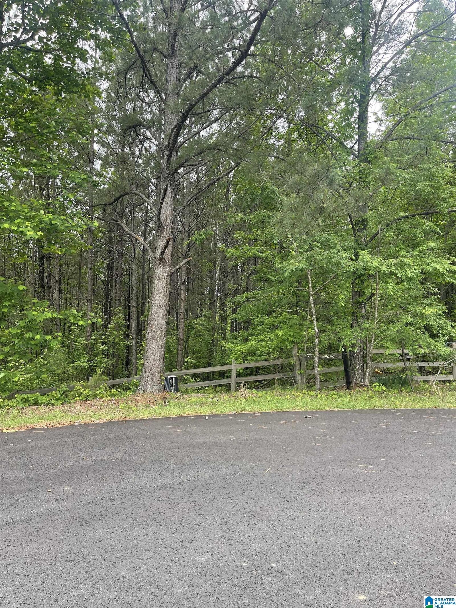 Property Photo:  65 Dogwood Drive 2  AL 35043 