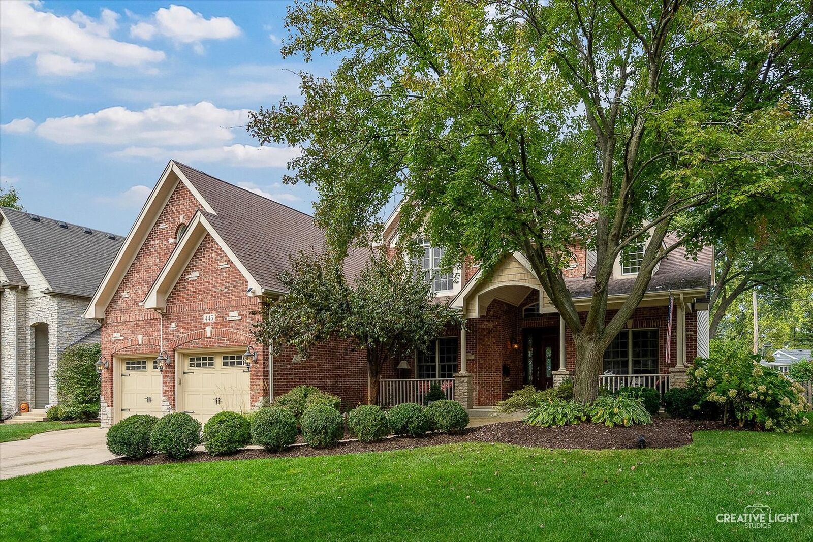 Property Photo:  445 Buckeye Drive  IL 60540 