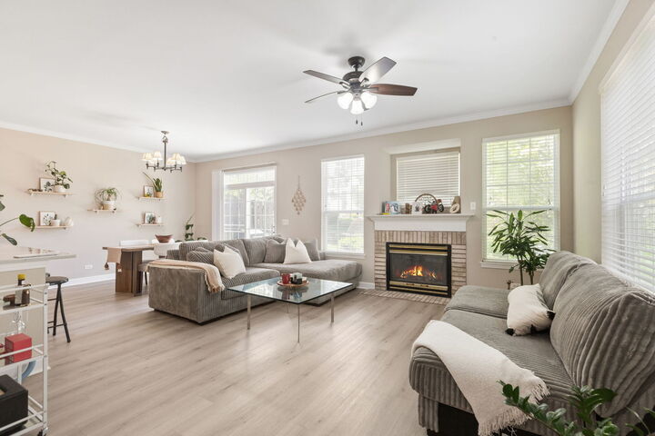 Property Photo: 206 Madison Drive 206 IL 60107