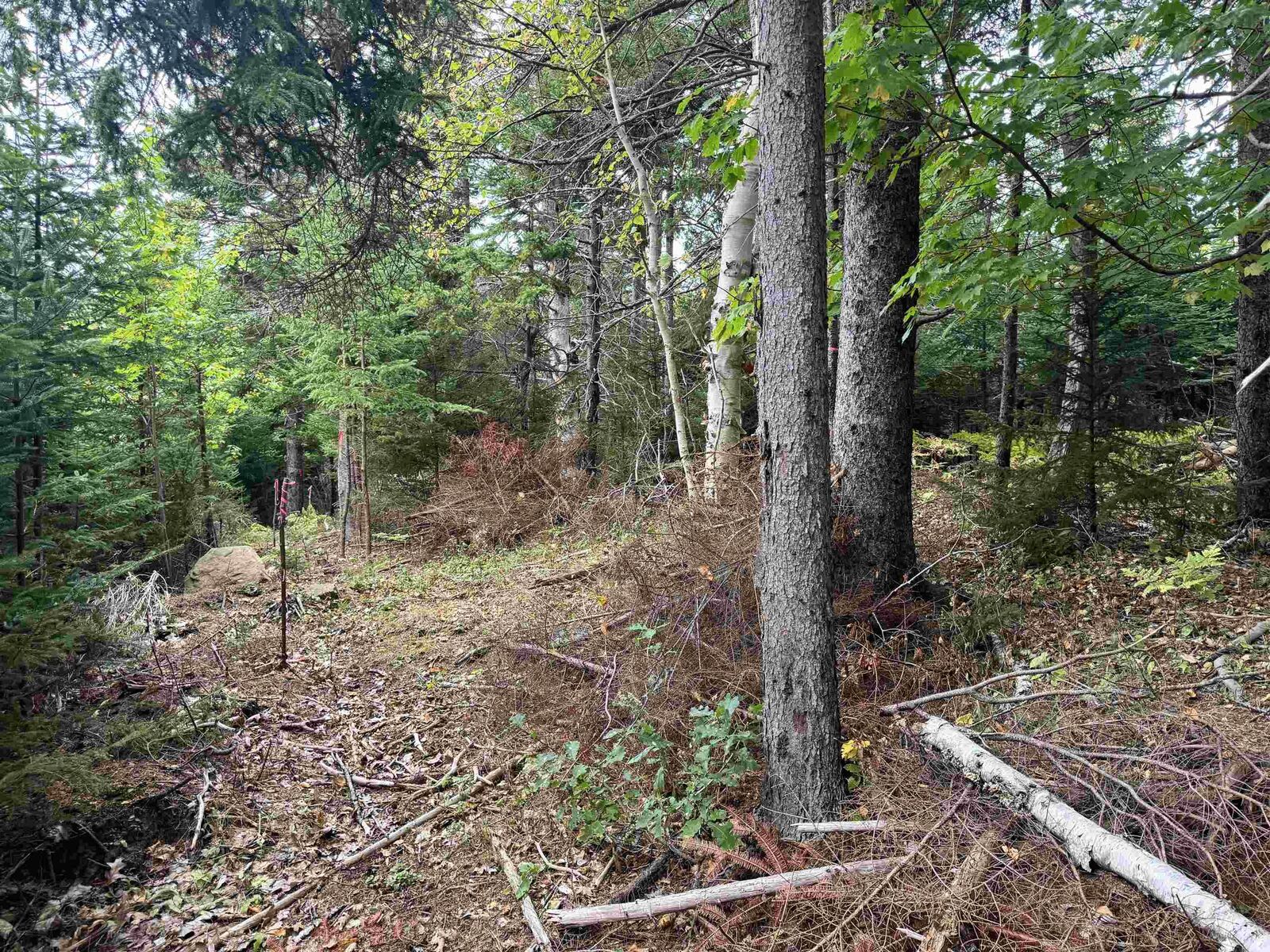 Property Photo:  24-2 Forest Drive Extension  NS B0K 1H0 