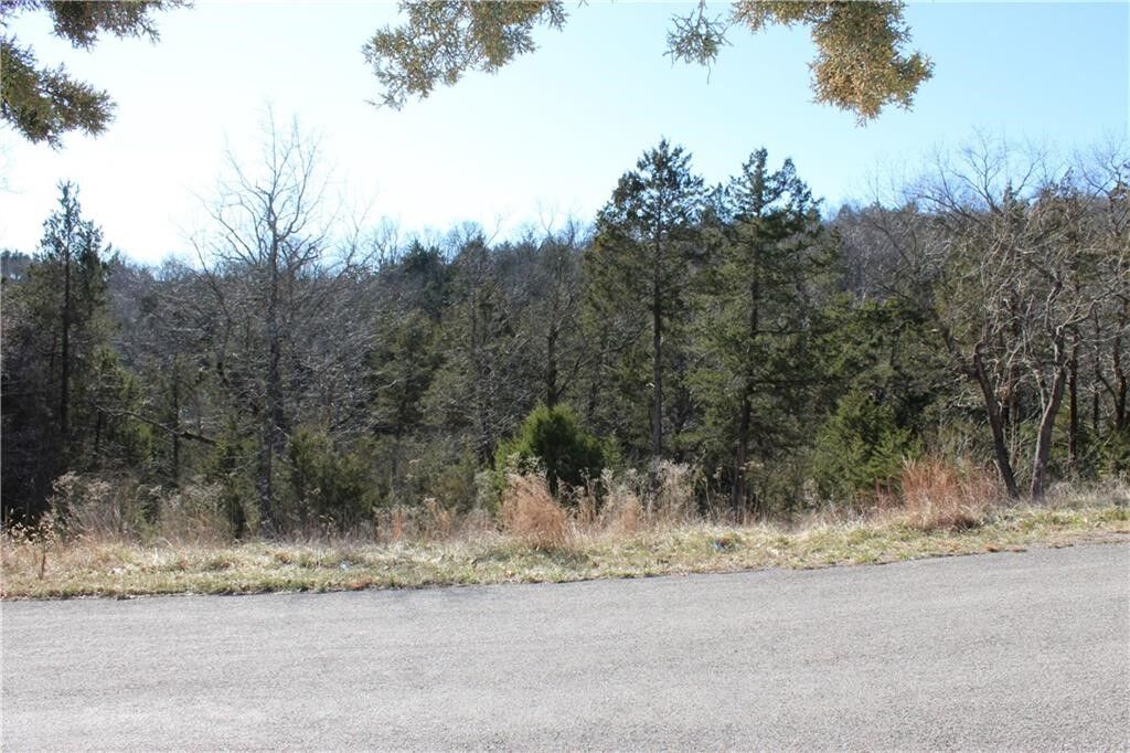 Property Photo:  15 Deer Run Drive  AR 72631 