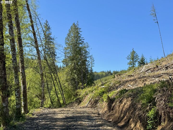 Property Photo:  73000 Clatskanie Heights Rd  OR 97016 
