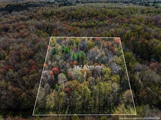 Property Photo:  6799 Maplegrove Road  MI 48768 