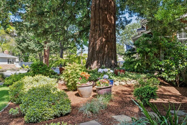 Property Photo:  111 Elm Street  CA 94025 