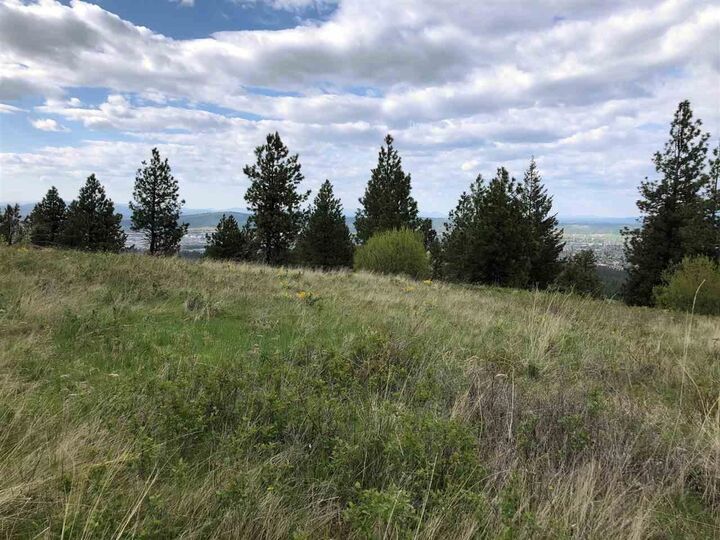 Property Photo:  2827 S Park Ln Lot 3  WA 99212 