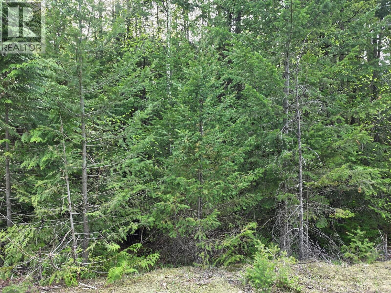 Property Photo:  6 Highway  BC V0G 2C0 