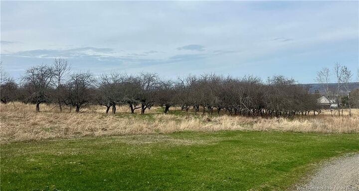 Property Photo:  Lot Route 105  NB E3A 7L8 