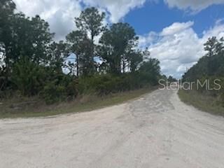 Property Photo:  29459 Clara Drive  FL 33982 