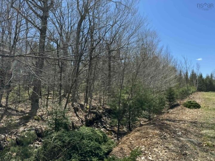 Property Photo:  Lot R-9 Kill Dog Cove Road  NS B0R 1A0 
