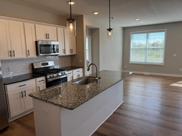 Property Photo:  10503 Robinwood Road  MN 55318 