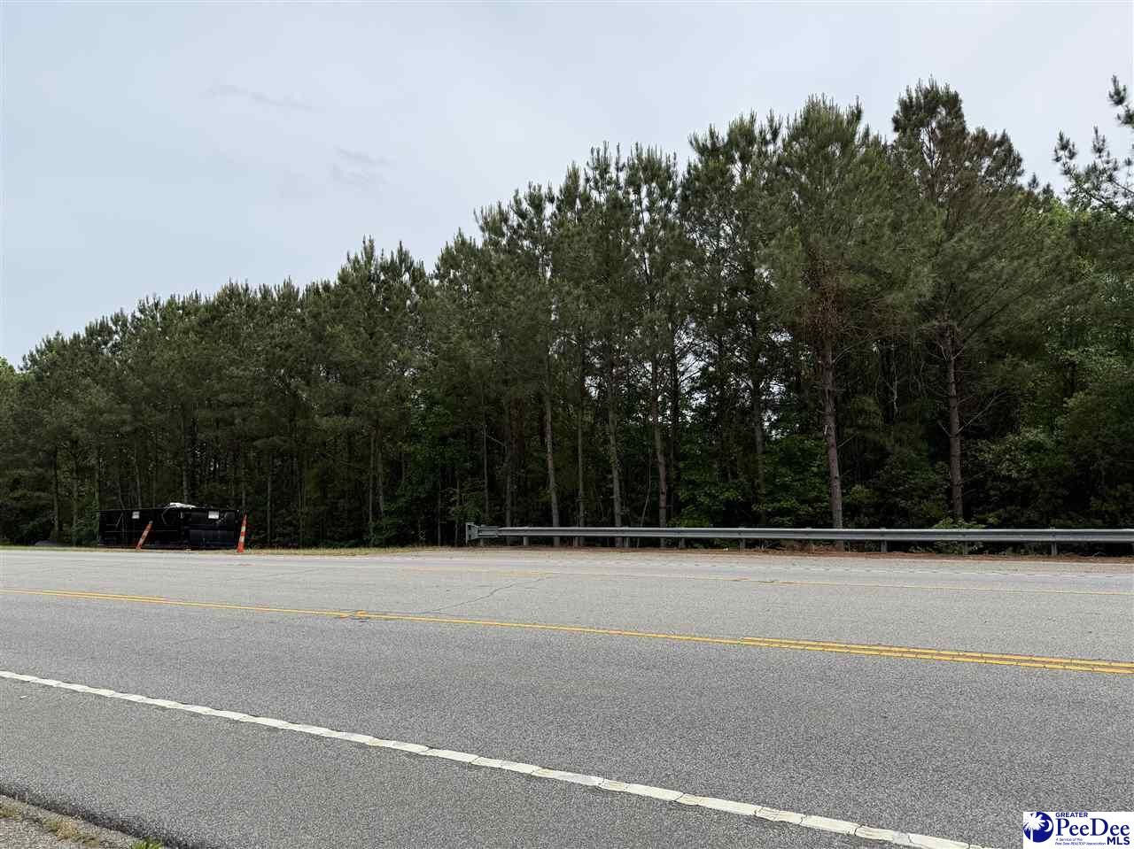 Property Photo:  Tbd Freedom Blvd  SC 29506 