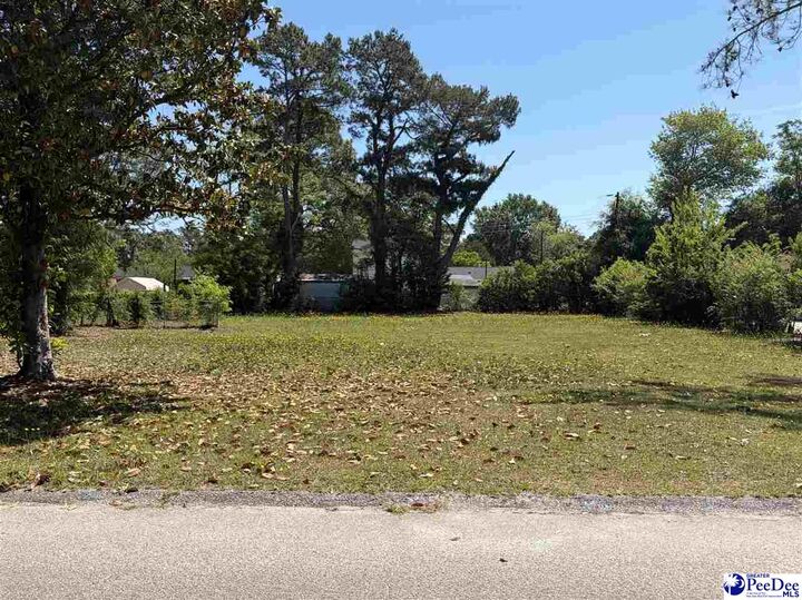 Property Photo:  3516 Leigh Lane  SC 29505 