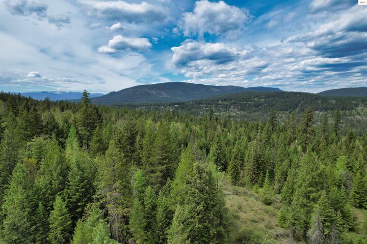 Property Photo:  Nna 20 Acres Two Tail Road  ID 83805 