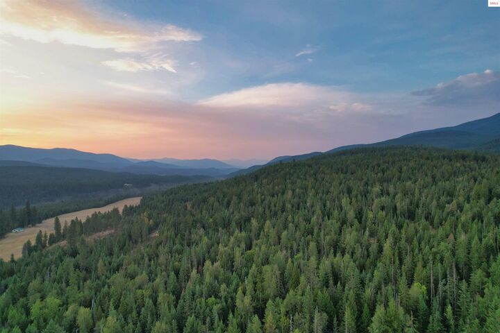 Property Photo:  Nna 20 Acres Two Tail Road  ID 83805 