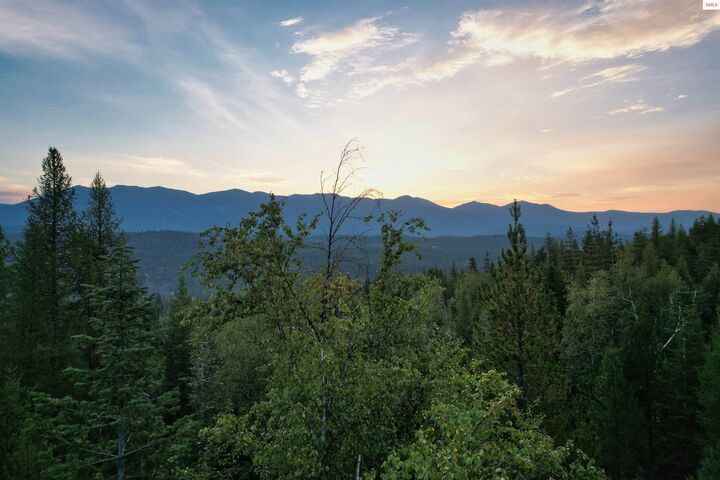 Property Photo: Nna 20 Acres Two Tail Road ID 83805