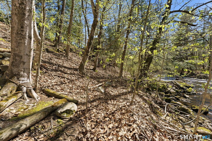 Property Photo:  97 Brookside Lane  CT 06250 