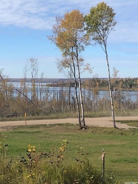 Property Photo:  520 Diamond Willow Drive  SK S0M 1A0 