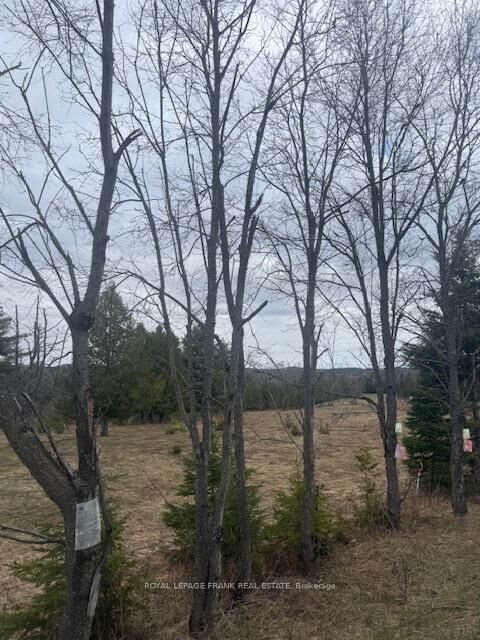 Property Photo:  Lot 2 Detlor Road  ON K0L 1C0 