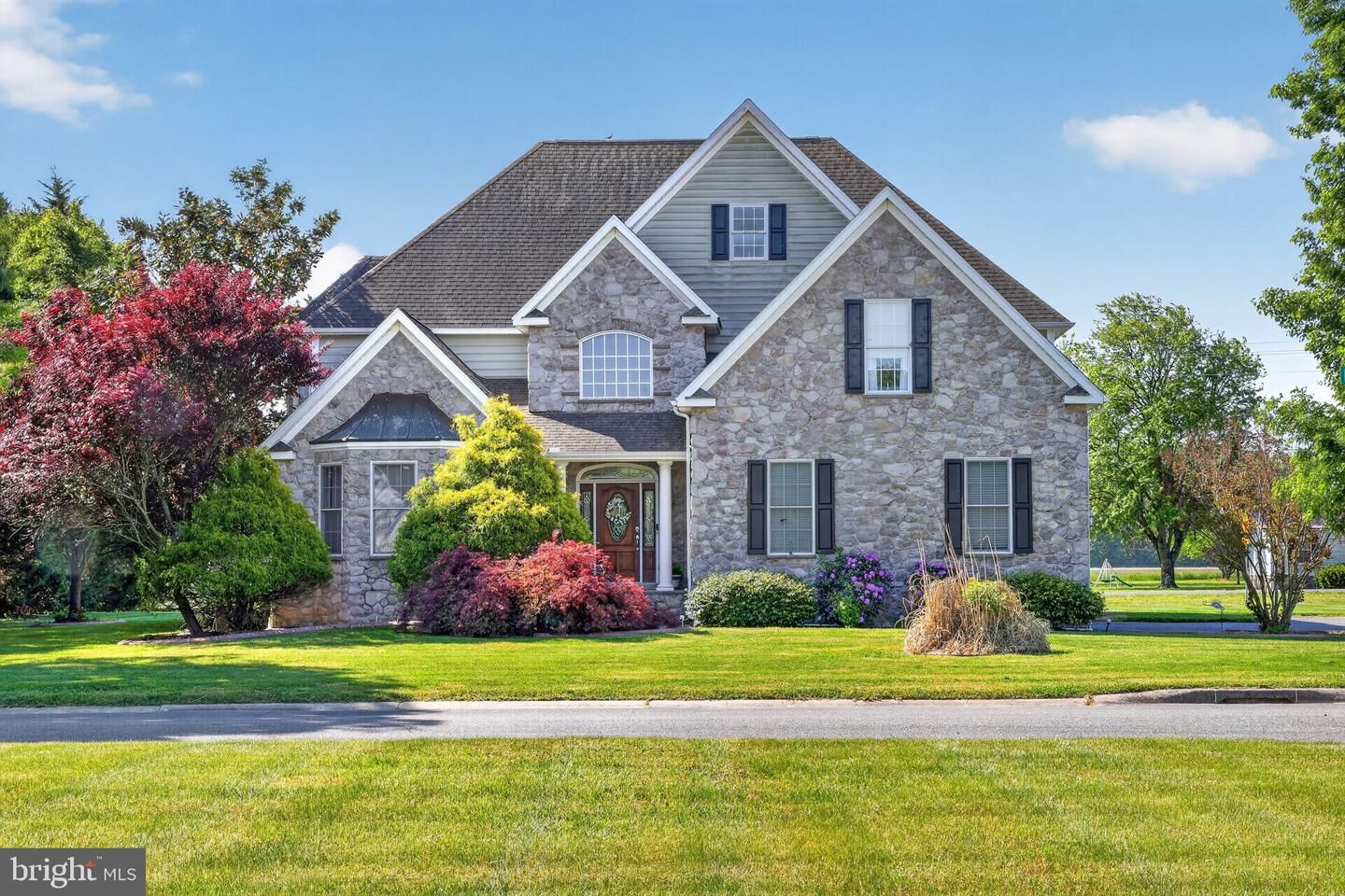 Property Photo:  299 Ridgewood Drive  DE 19934 