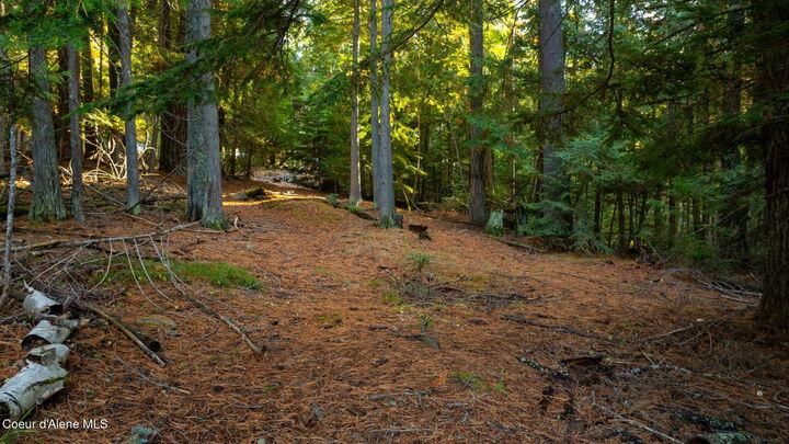 Property Photo:  9816 Bottle Bay Rd  ID 83860 