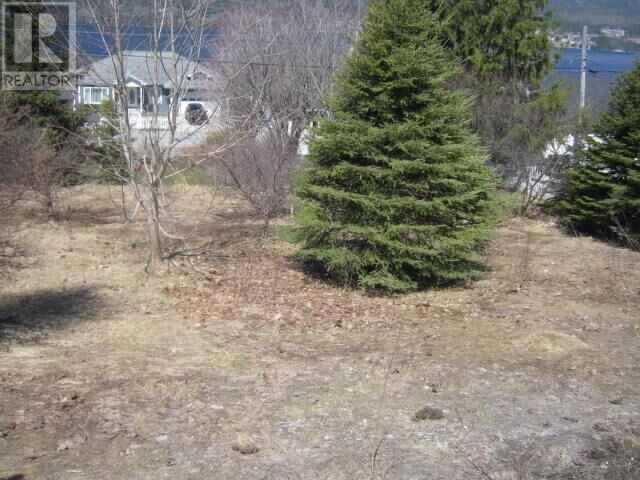Property Photo:  5 Princess Avenue  NL A2H 1N2 