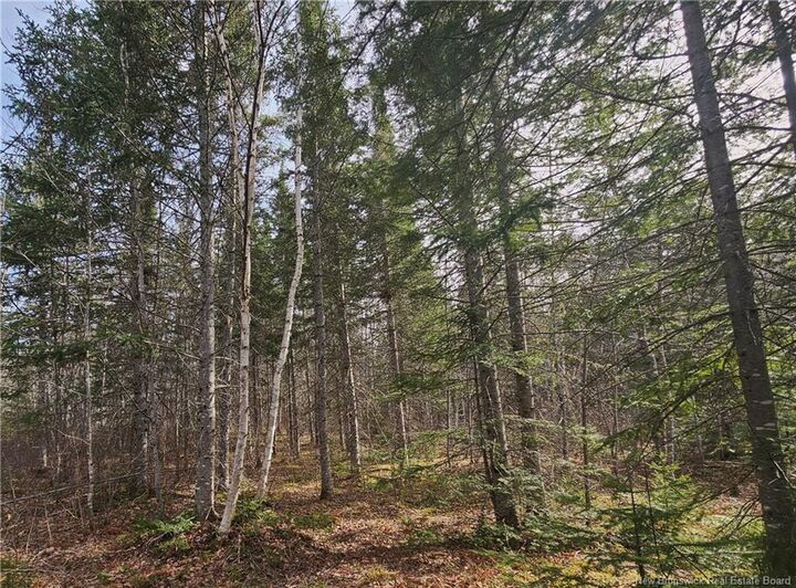 00 Route 118 — photo 1