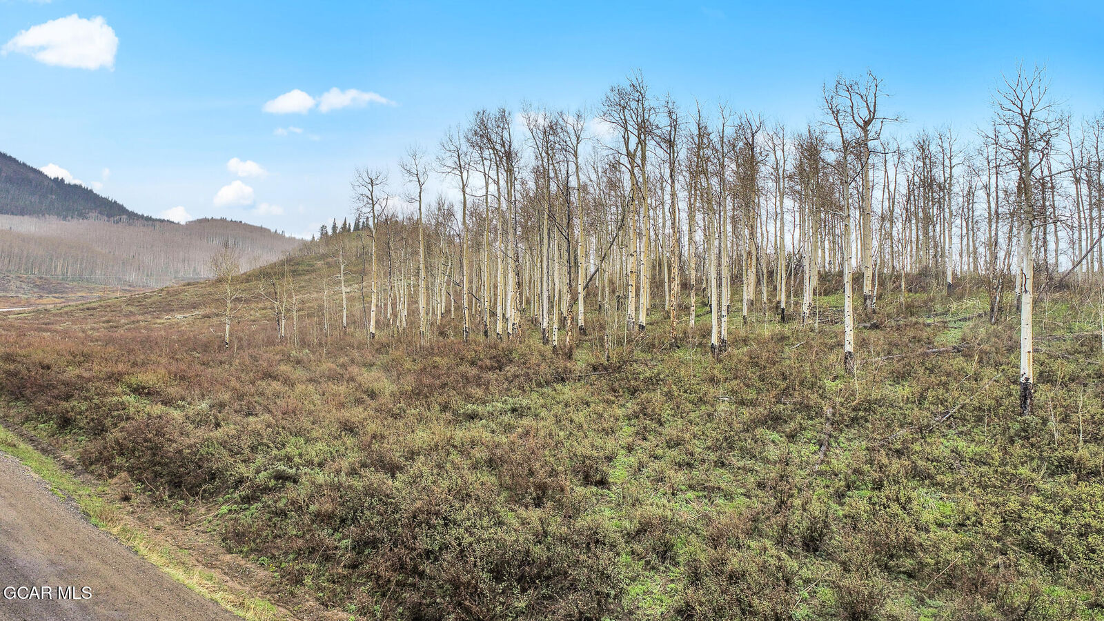 Property Photo:  153 Gcr 286  CO 80459 