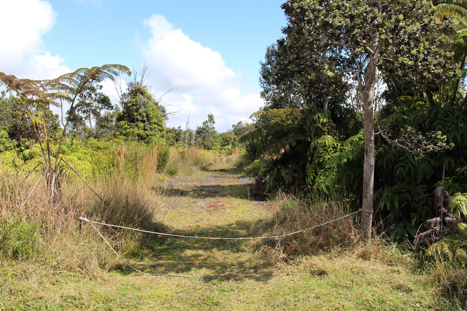 Property Photo:  11-3944 Nahelenani St  HI 96785 