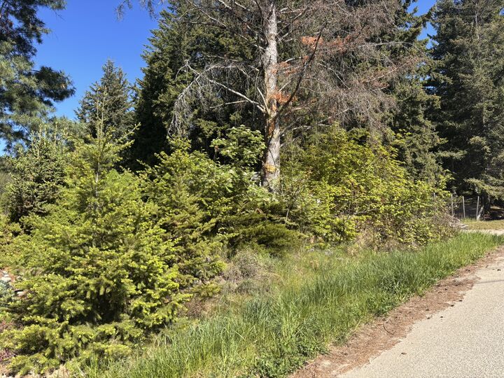 Property Photo: 2607 Airstrip Road BC V0E 1M8